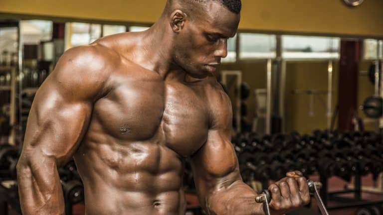 Biceps courts ou longs : quelle différence en musculation ?