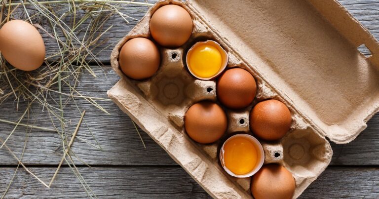 quel est le poids d'un blanc et d'un jaune d'oeuf