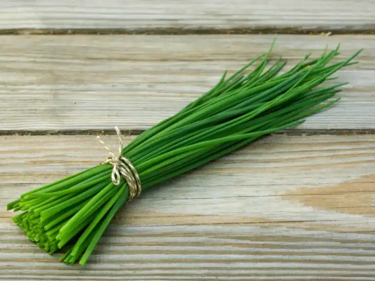 par quoi remplacer la ciboulette